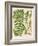 Botanical Ferns II-N. Harbick-Framed Art Print