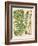 Botanical Ferns II-N. Harbick-Framed Art Print