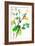 Botanical from the Courtyard 2-Janel Bragg-Framed Art Print