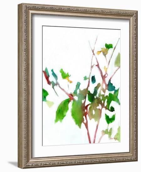 Botanical from the Courtyard 6-Janel Bragg-Framed Art Print