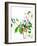 Botanical from the Courtyard 6-Janel Bragg-Framed Art Print