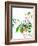 Botanical from the Courtyard 6-Janel Bragg-Framed Art Print