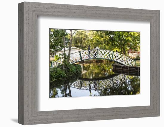 Botanical Garden, Georgetown, Guyana, South America-Michael Runkel-Framed Photographic Print