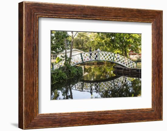 Botanical Garden, Georgetown, Guyana, South America-Michael Runkel-Framed Photographic Print