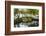 Botanical Garden, Georgetown, Guyana, South America-Michael Runkel-Framed Photographic Print