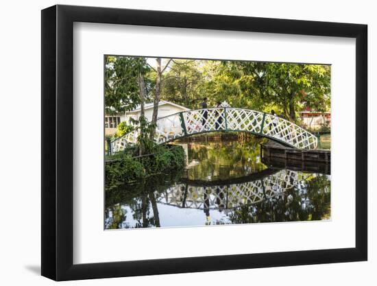 Botanical Garden, Georgetown, Guyana, South America-Michael Runkel-Framed Photographic Print