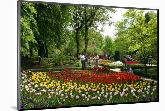 Botanical Garden in Madrid, Spain-null-Mounted Art Print