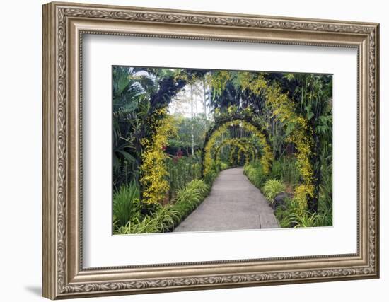 Botanical Garden in Singapore-Yury Zap-Framed Photographic Print