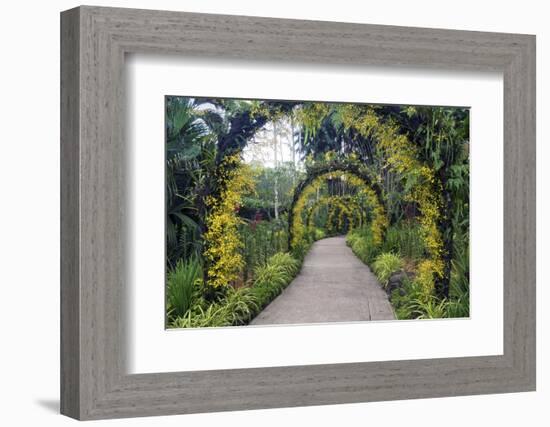 Botanical Garden in Singapore-Yury Zap-Framed Photographic Print