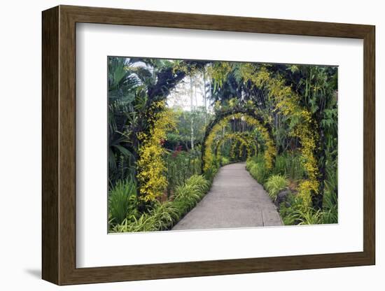 Botanical Garden in Singapore-Yury Zap-Framed Photographic Print