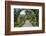 Botanical Garden in Singapore-Yury Zap-Framed Photographic Print