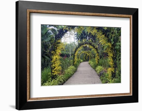 Botanical Garden in Singapore-Yury Zap-Framed Photographic Print