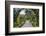 Botanical Garden in Singapore-Yury Zap-Framed Photographic Print