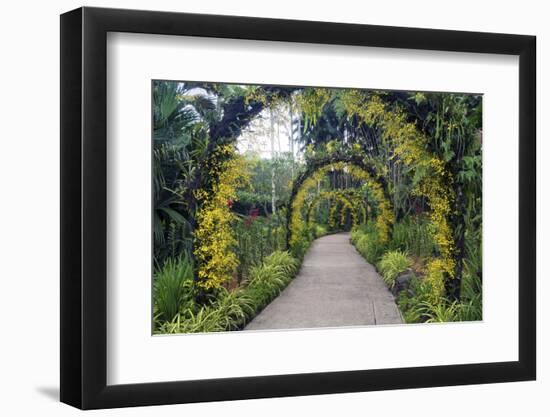 Botanical Garden in Singapore-Yury Zap-Framed Photographic Print