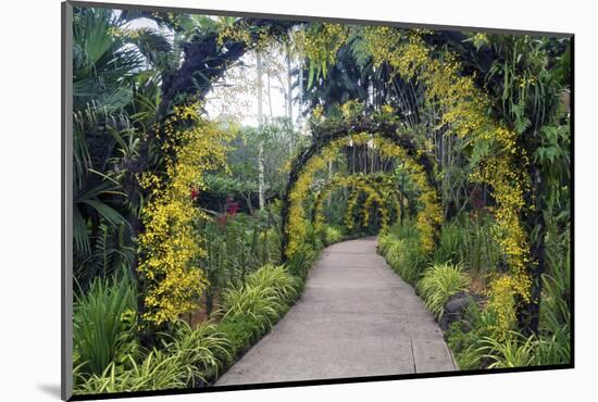 Botanical Garden in Singapore-Yury Zap-Mounted Photographic Print