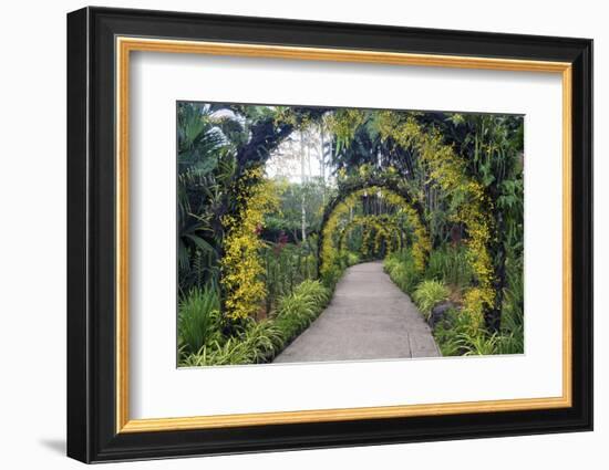 Botanical Garden in Singapore-Yury Zap-Framed Photographic Print