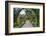 Botanical Garden in Singapore-Yury Zap-Framed Photographic Print