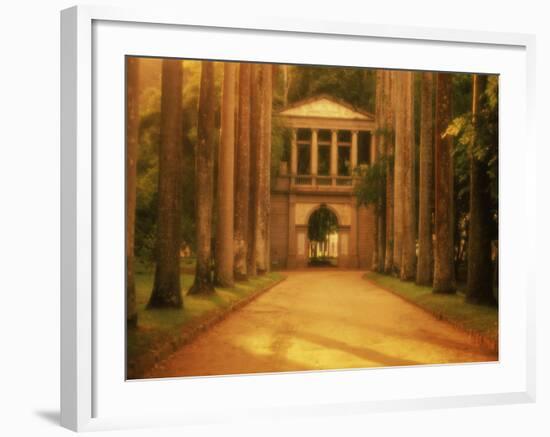 Botanical Garden, Rio de Janeiro, Brazil-null-Framed Photographic Print