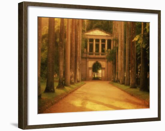 Botanical Garden, Rio de Janeiro, Brazil-null-Framed Photographic Print