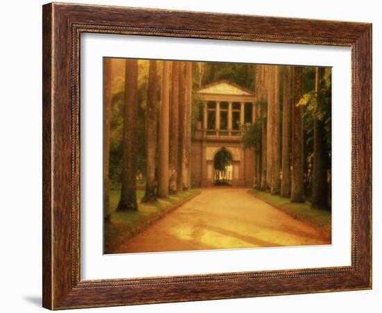 Botanical Garden, Rio de Janeiro, Brazil-null-Framed Photographic Print