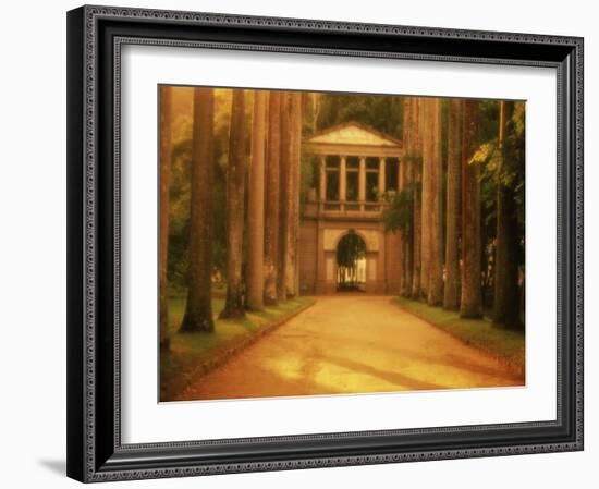 Botanical Garden, Rio de Janeiro, Brazil-null-Framed Photographic Print