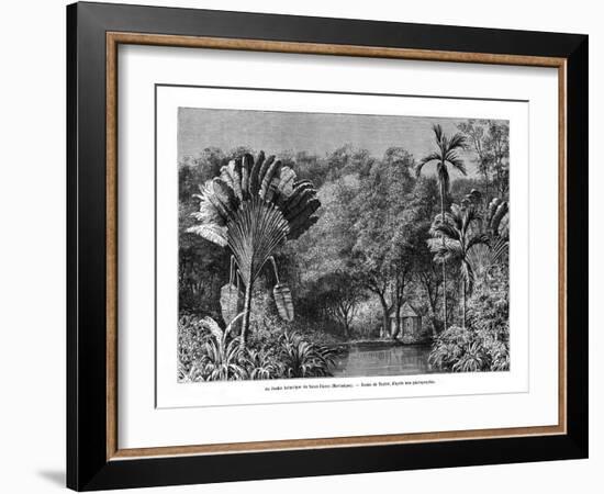 Botanical Garden, Saint-Pierre, Martinique, 19th Century-E de Berard-Framed Giclee Print