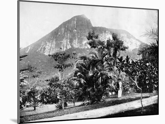 Botanical Gardens and Mount Corcovado, Rio De Janeiro, Brazil, 1893-John L Stoddard-Mounted Giclee Print