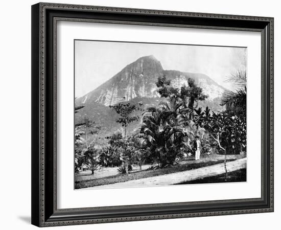 Botanical Gardens and Mount Corcovado, Rio De Janeiro, Brazil, 1893-John L Stoddard-Framed Giclee Print