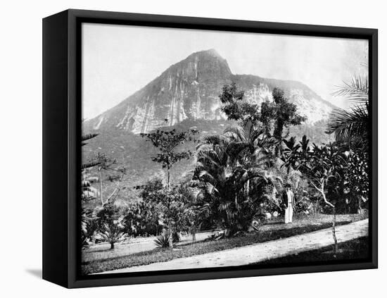 Botanical Gardens and Mount Corcovado, Rio De Janeiro, Brazil, 1893-John L Stoddard-Framed Premier Image Canvas