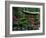 Botanical Gardens, Birmingham, Alabama, USA-null-Framed Photographic Print