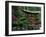 Botanical Gardens, Birmingham, Alabama, USA-null-Framed Photographic Print