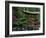 Botanical Gardens, Birmingham, Alabama, USA-null-Framed Photographic Print