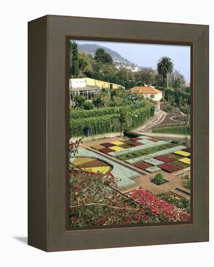 Botanical Gardens, Funchal, Madeira, Portugal-Peter Thompson-Framed Premier Image Canvas