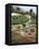 Botanical Gardens, Funchal, Madeira, Portugal-Peter Thompson-Framed Premier Image Canvas