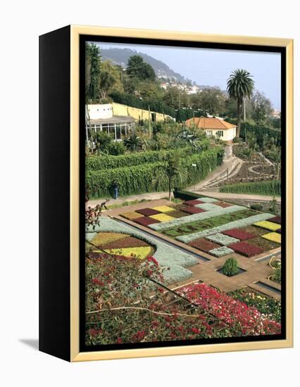 Botanical Gardens, Funchal, Madeira, Portugal-Peter Thompson-Framed Premier Image Canvas