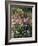 Botanical Gardens, Funchal, Madeira, Portugal-Peter Thompson-Framed Photographic Print