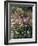 Botanical Gardens, Funchal, Madeira, Portugal-Peter Thompson-Framed Photographic Print