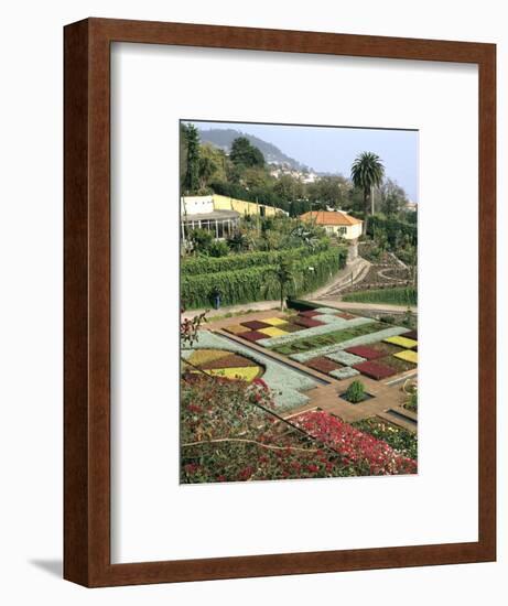 Botanical Gardens, Funchal, Madeira, Portugal-Peter Thompson-Framed Photographic Print