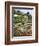 Botanical Gardens, Funchal, Madeira, Portugal-Peter Thompson-Framed Photographic Print