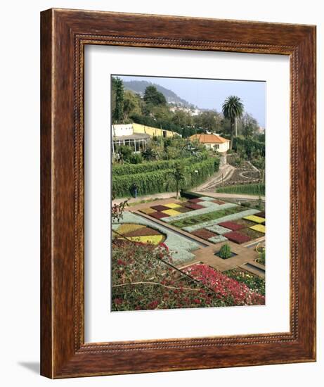 Botanical Gardens, Funchal, Madeira, Portugal-Peter Thompson-Framed Photographic Print