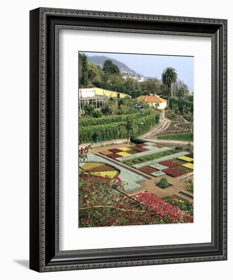 Botanical Gardens, Funchal, Madeira, Portugal-Peter Thompson-Framed Photographic Print