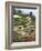 Botanical Gardens, Funchal, Madeira, Portugal-Peter Thompson-Framed Photographic Print