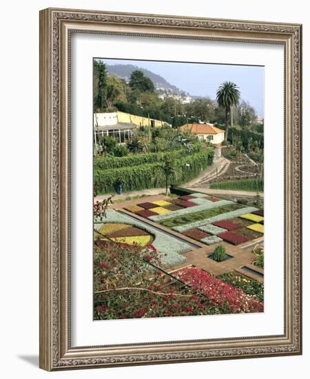 Botanical Gardens, Funchal, Madeira, Portugal-Peter Thompson-Framed Photographic Print