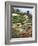 Botanical Gardens, Funchal, Madeira, Portugal-Peter Thompson-Framed Photographic Print