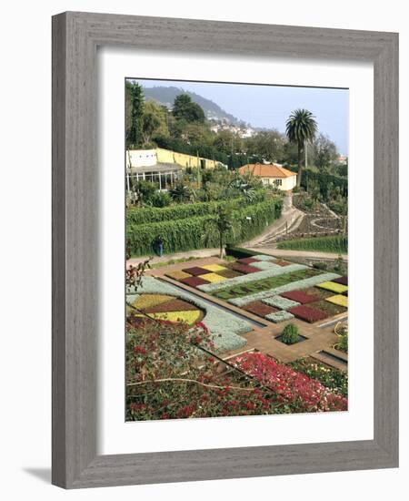 Botanical Gardens, Funchal, Madeira, Portugal-Peter Thompson-Framed Photographic Print