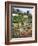 Botanical Gardens, Funchal, Madeira, Portugal-Peter Thompson-Framed Photographic Print