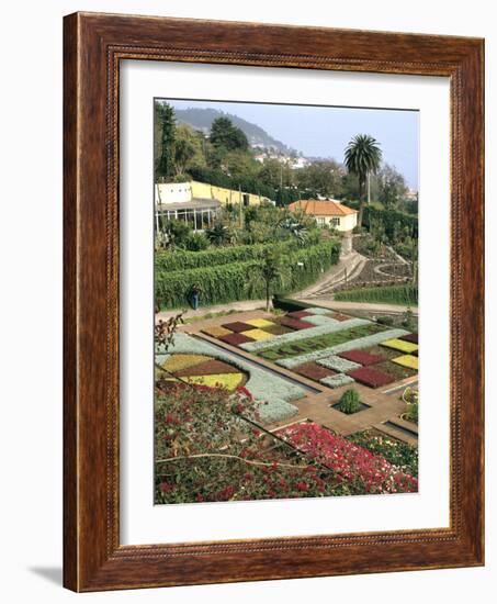 Botanical Gardens, Funchal, Madeira, Portugal-Peter Thompson-Framed Photographic Print