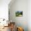 Botanical Gardens, Gothenburg, Sweden, Scandinavia, Europe-Robert Cundy-Mounted Photographic Print displayed on a wall