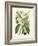 Botanical Glory II-Vision Studio-Framed Art Print