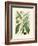 Botanical Glory II-Vision Studio-Framed Art Print